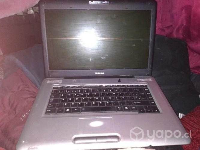 Netbook