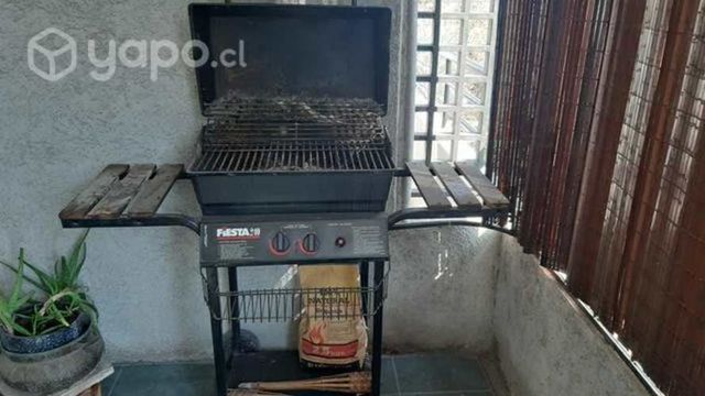 Parrilla a carbon