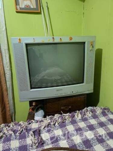 Televisor