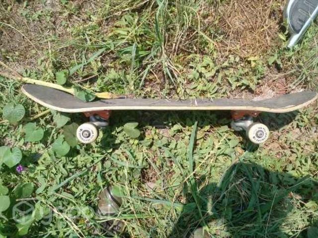 Skate pill gato