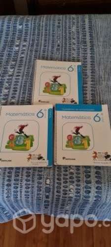 Libros de Matemáticas 6° Básico