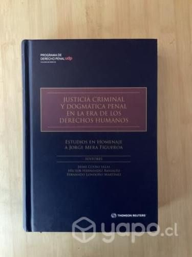 Libro derecho justicia criminal y dogmática penal