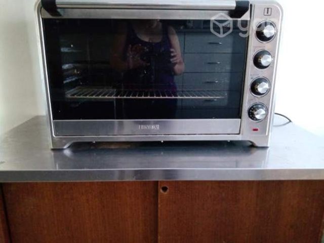 Horno 100 lt Thomas