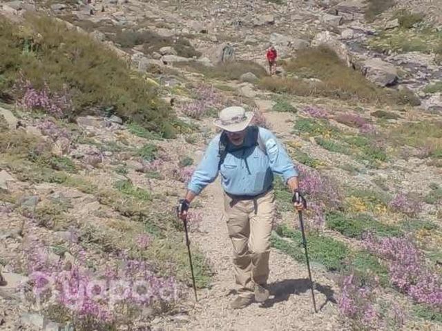 2 Bastones NUEVOS de treking sin uso retractiles