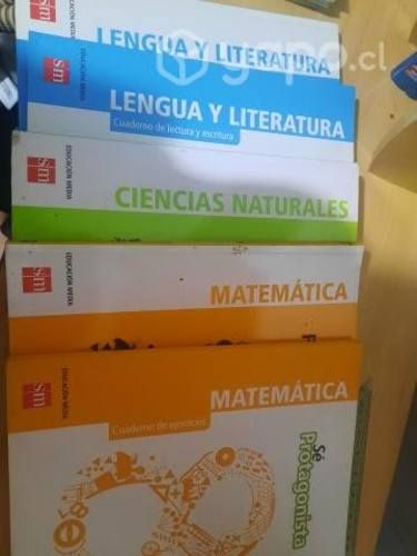 Libros 8 básico proyecto Ser protagonista