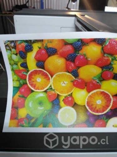 Impresora Color Ricoh S PC840dn A3 300g