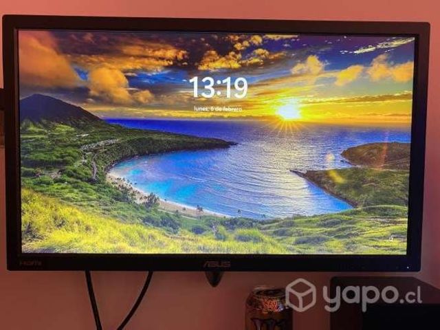 Monitor gamer asus 21 pulgadas 60hz