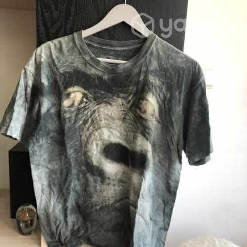 10 poleras de hombre