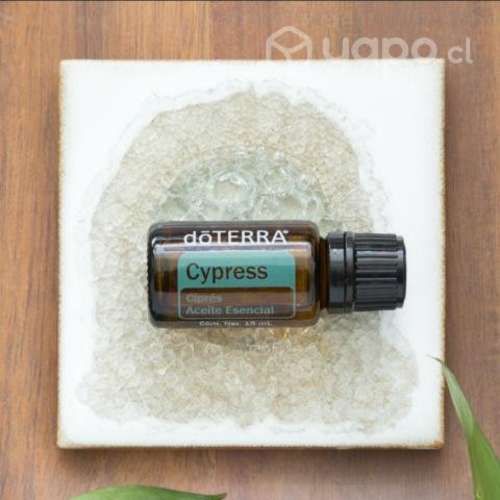 Aceite esencial de Cypress - Doterra