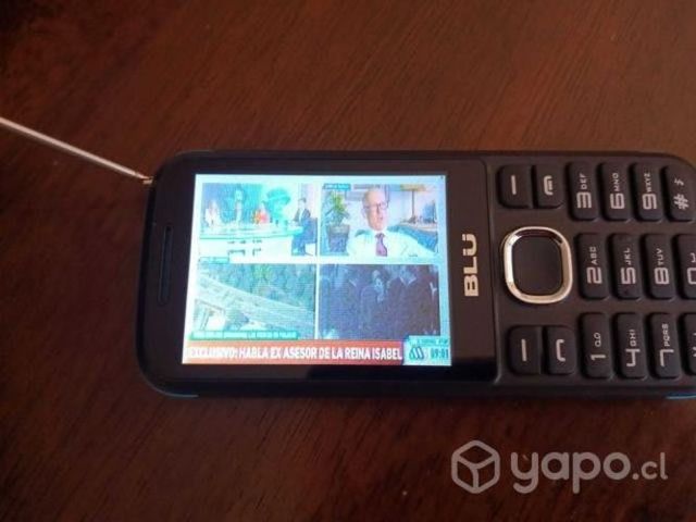 Teléfono con Radio y TV