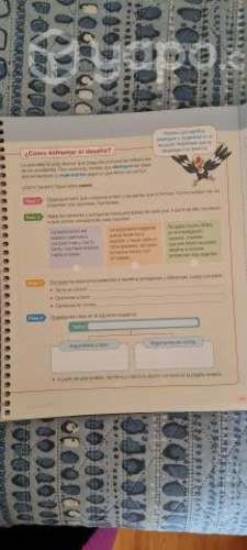 Libros de Lenguaje 6° Básico