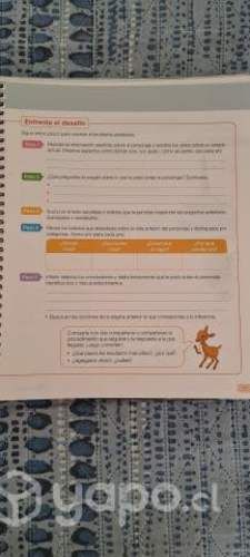 Libros de Lenguaje 6° Básico