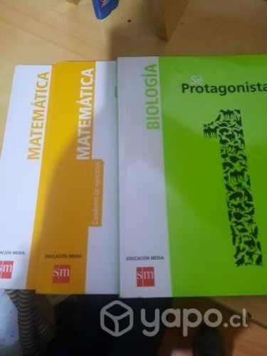 Libros 1 medio proyecto Ser protagonista