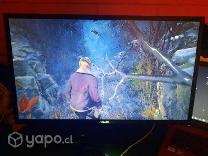 Asus 165hz 0.5ms 24'5&quot;