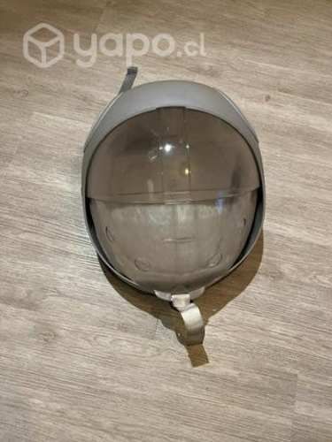 Huevo de transporte gato