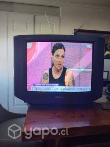 Televisor Sony 29 pulgadas