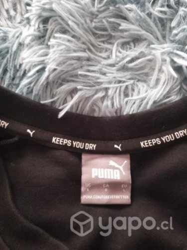 Polerones originales puma