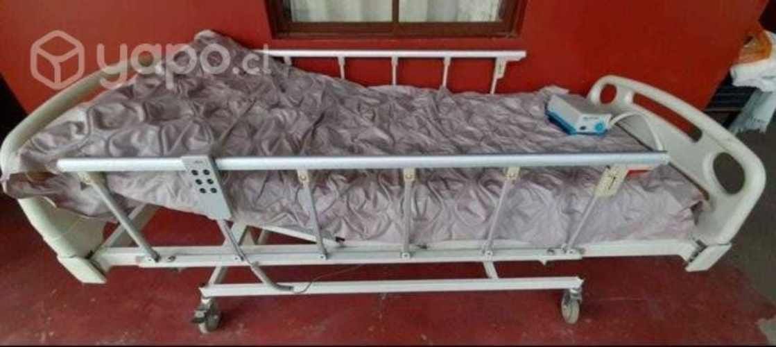 Cama clinica electrica