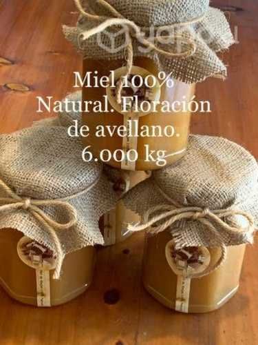 Miel 100 % Natural - Alto Bio Bio