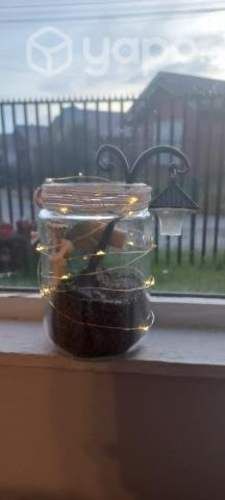 Frasco decorativo con hada.