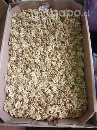 Nueces mariposa del año 2022