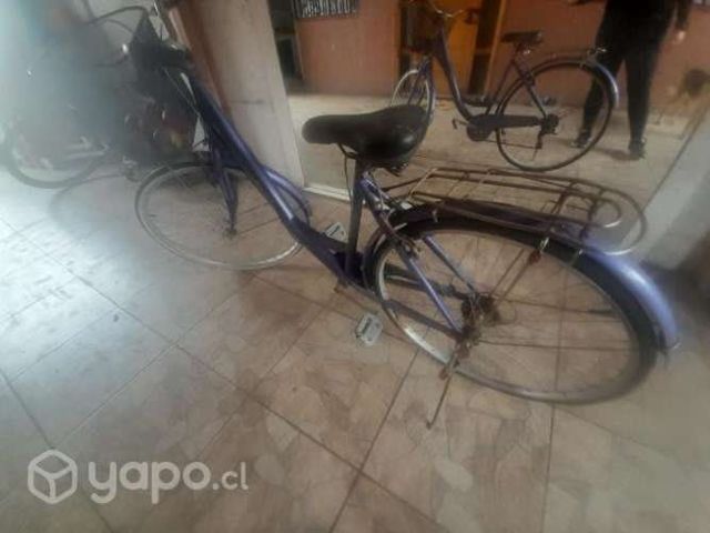Bicicleta mujer paseo con canasto