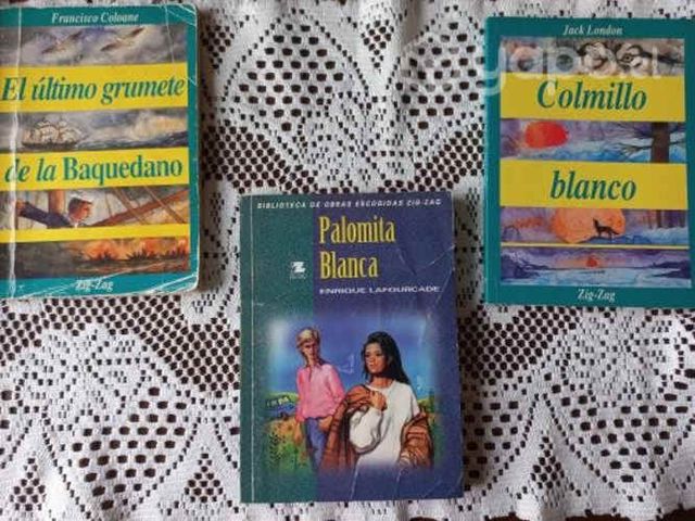 Lote libros usados