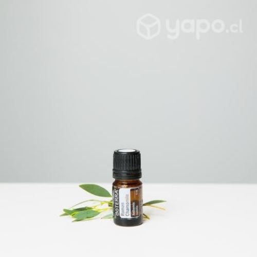 Aceite esencial Roman Chamomile