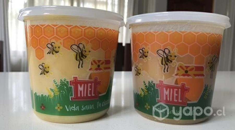 Miel 100% pura traída desde zona precordillerana