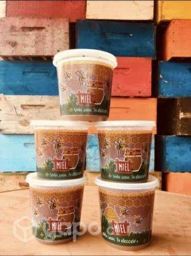 Miel 100% pura traída desde zona precordillerana