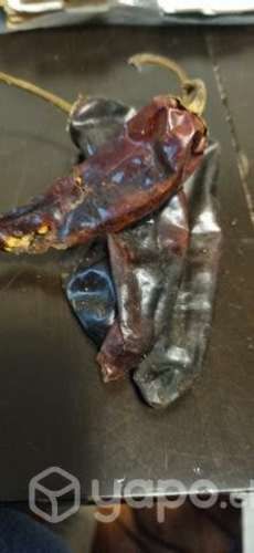 Ají ahumado sureño