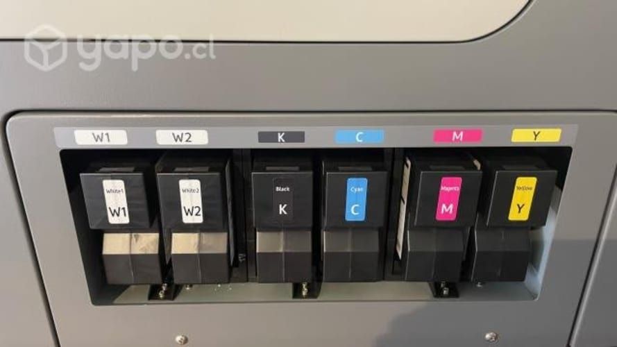 Impresora de Poleras Ricoh RI-10000