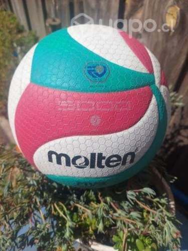 Balón Molten v5 m5000