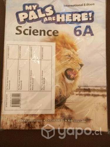 Pack My Pals are here 6A (4 libros)