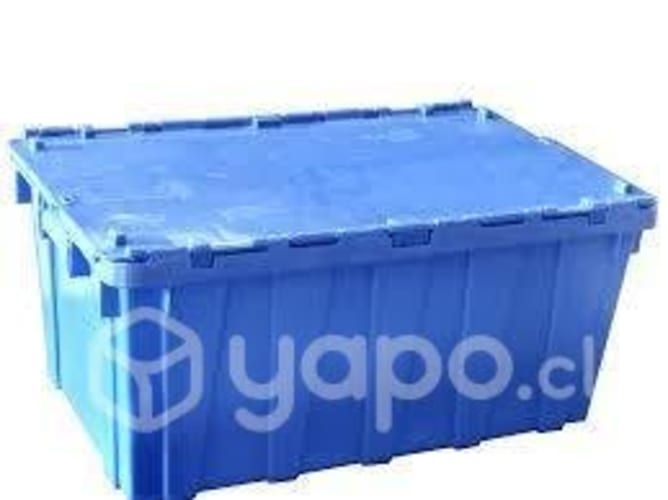 Cajas plásticas para Mudanzas