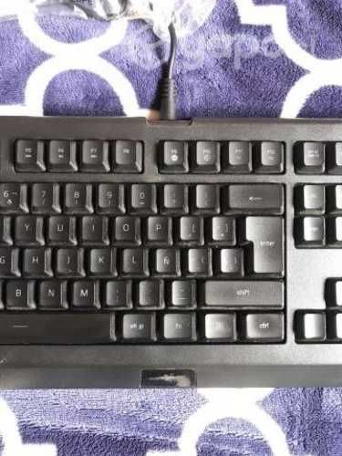 Teclado Gamer Cynosa Lite