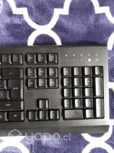 Teclado Gamer Cynosa Lite