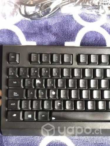 Teclado Gamer Cynosa Lite