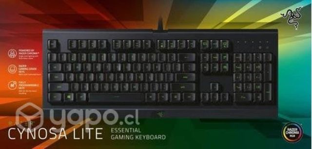 Teclado Gamer Cynosa Lite