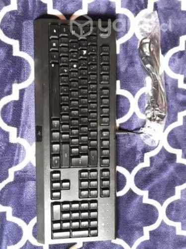Teclado Gamer Cynosa Lite