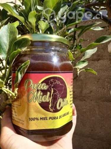Miel 100% pura