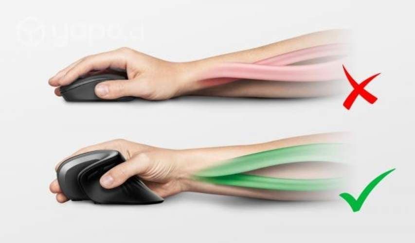 Mouse Verro Wireless Ergo Trust