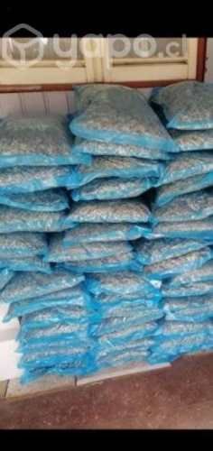 Nueces mariposa blanca solo por mayor