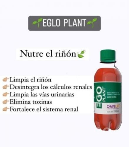 Productos alimenticios