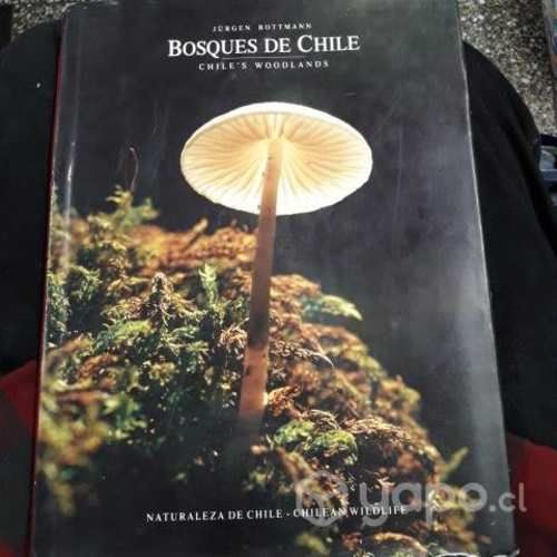 Bosques de chile Jurgen rottmann