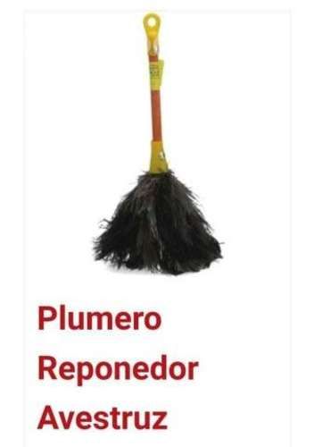 Plumeros avestruz