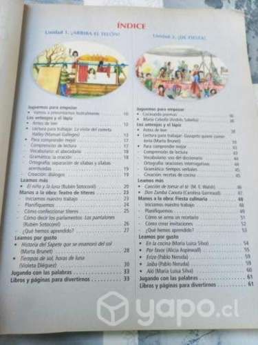 Libro Lenguaje y Comunicación 3 Basico