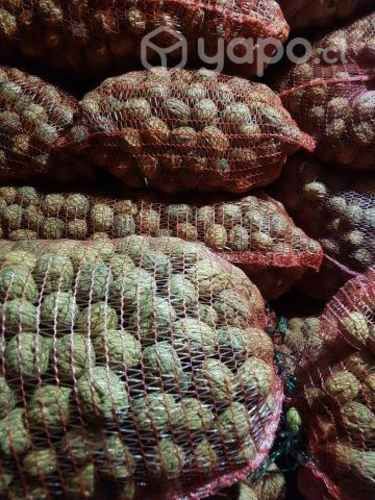 Nuez Chandler Temporada 2022