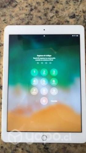 Ipad modelo A1822 (5ta Gen)