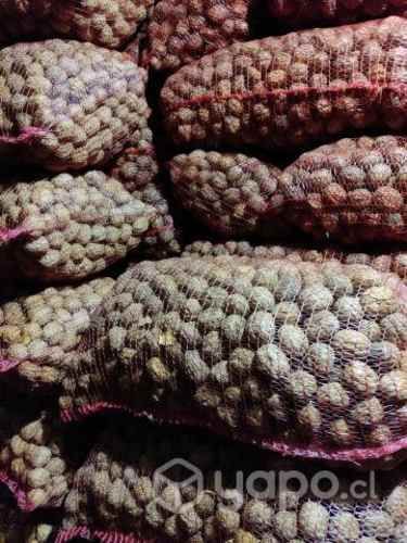 Nueces Chandler temporada 2022